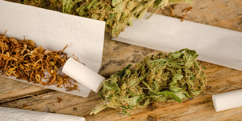 Il tabacco amplifica gli effetti della cannabis