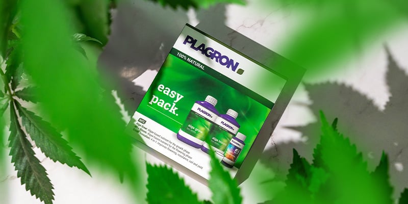 Coltivare biologicamente ora è più semplice che mai Coltivare biologicamente ora è più semplice che mai