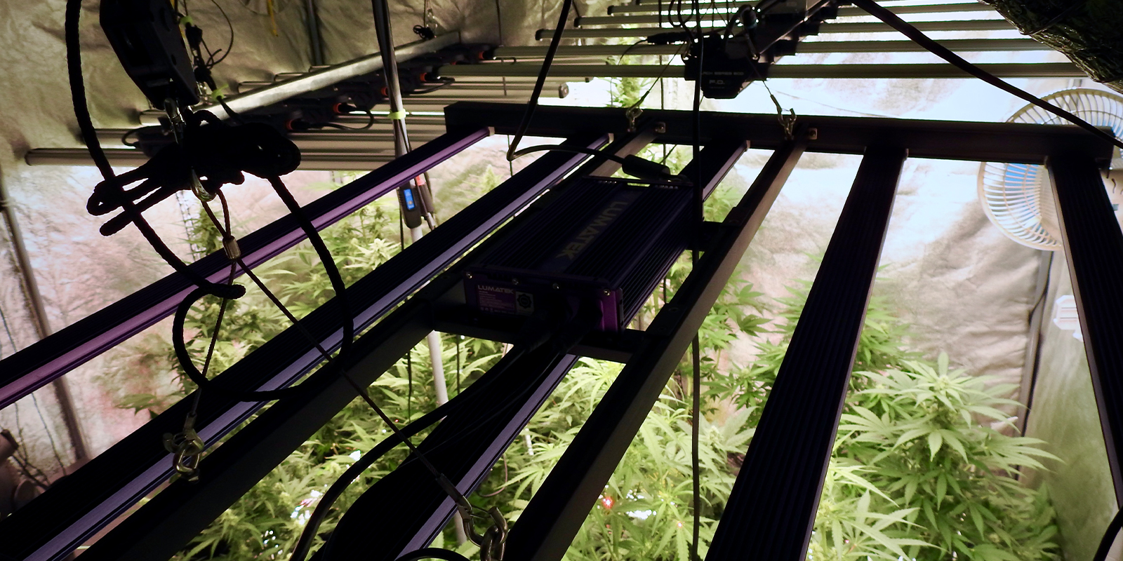 1. Controlla l’ambiente