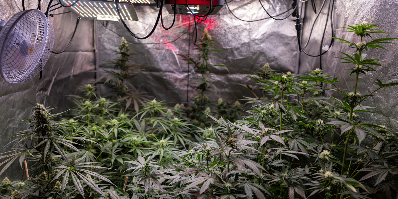 3. Apporta piccole regolazioni mirate