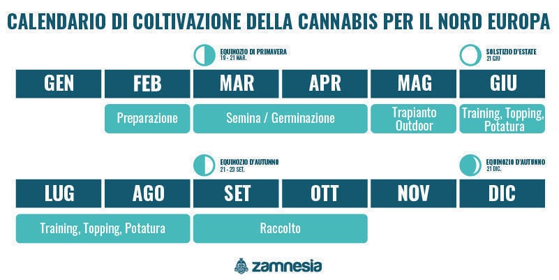 Calendario della coltivazione della cannabis per l’Europa settentrionale