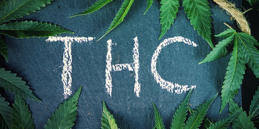 Qual è la Differenza tra Cannabis e Canapa?