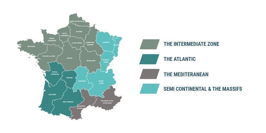 COLTIVARE CANNABIS NEL CLIMA FRANCESE