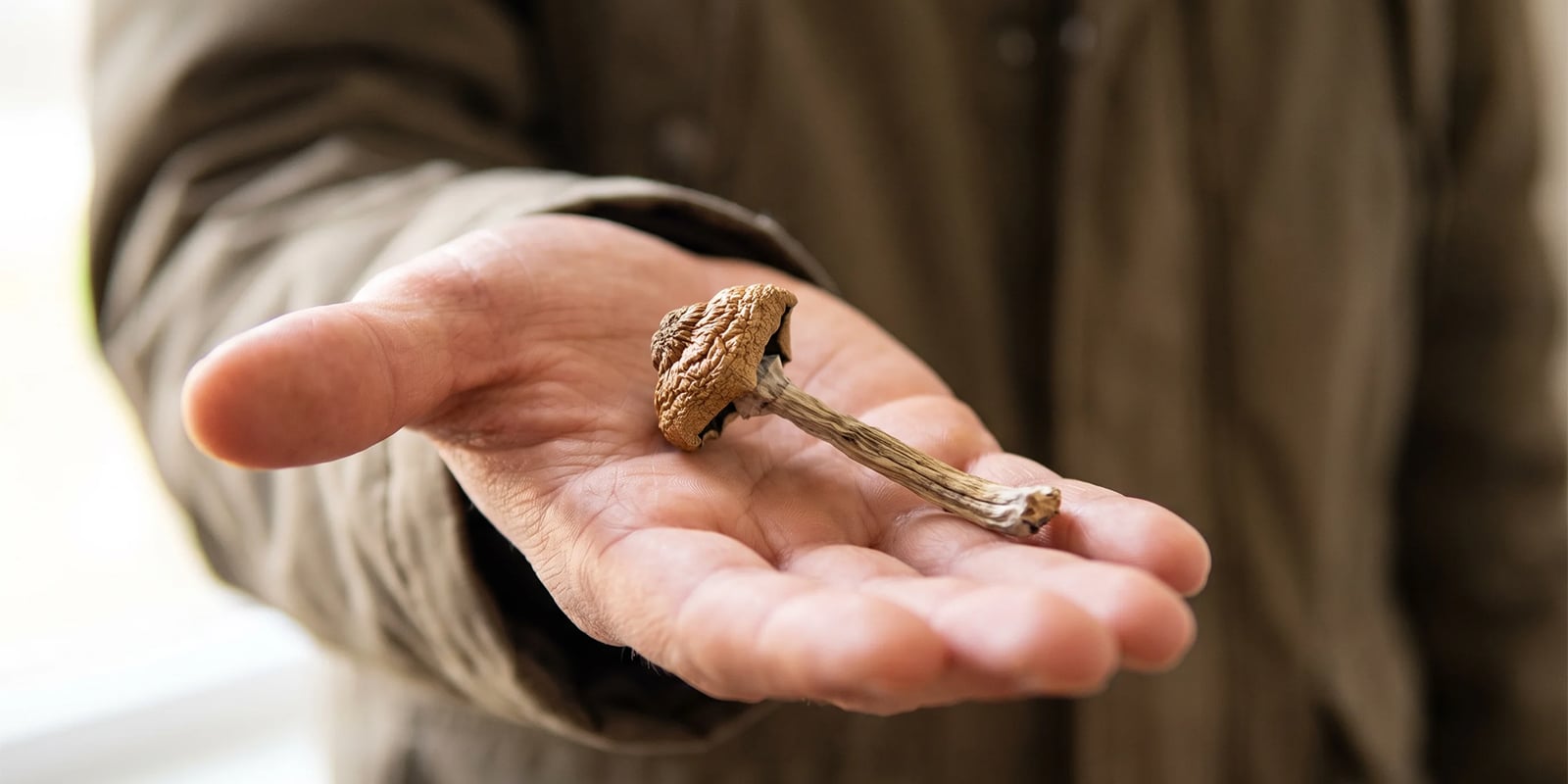 Quindi i funghi magici sono la droga ricreativa più sicura? Quindi i funghi magici sono la droga ricreativa più sicura?