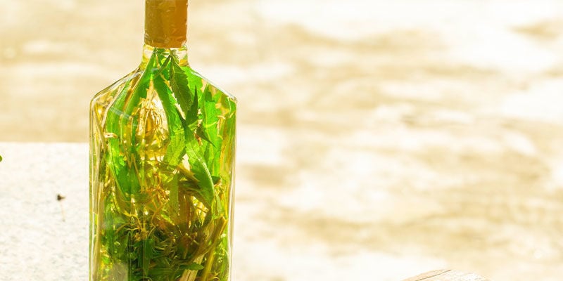 Liquore Artigianale Alla Cannabis