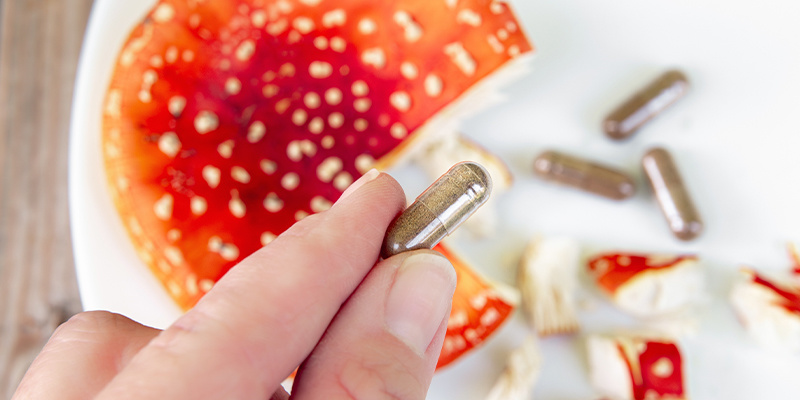 Ovolo malefico (Amanita muscaria)