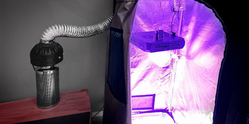 Fuori Dalla Tenda Di Coltivazione