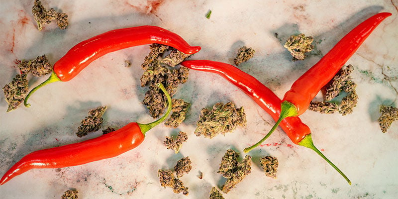 Le Piante di Cannabis ed il Peperoncino Hanno Qualcosa in Comune?