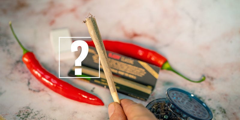 Peperoncini e Cannabis: Una Coppia Perfetta?