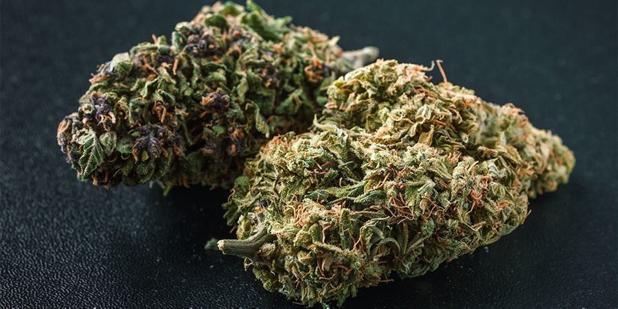 Quali Sono i Colori della Cannabis?