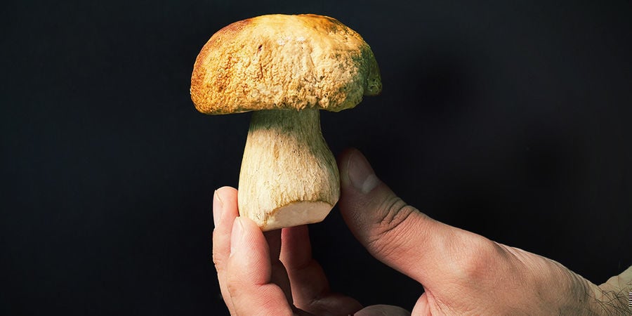 Siate Sempre Prudenti Con I Vostri Funghi