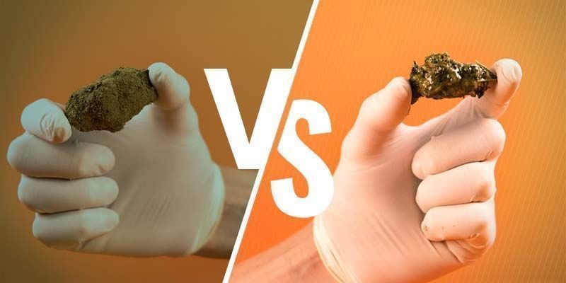 Moon Rock Vs Caviale Di Cannabis