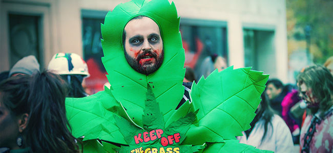 Creare Un Costume Di Halloween A Tema Cannabis