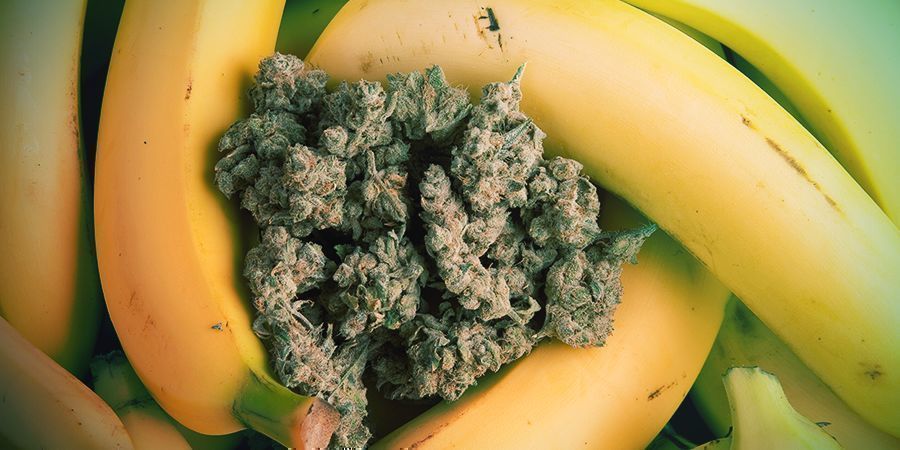 Sveliamo Le Vere Origini Della Chiquita Banana