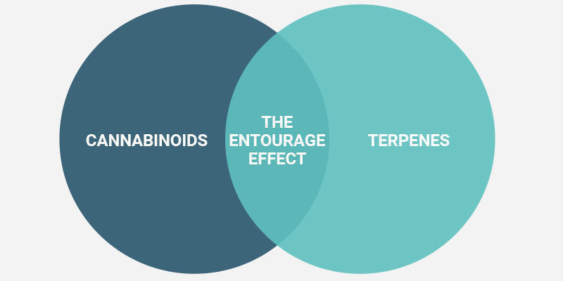 Come Sperimentare L'Effetto Entourage