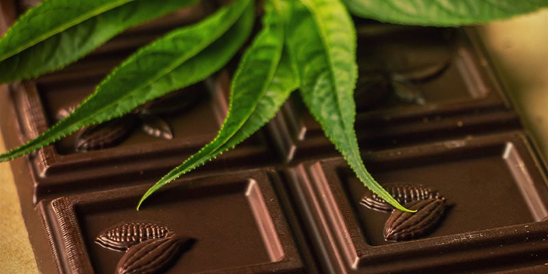 CIOCCOLATO E CANNABIS: LA PERFETTA COPPIA CHIMICA