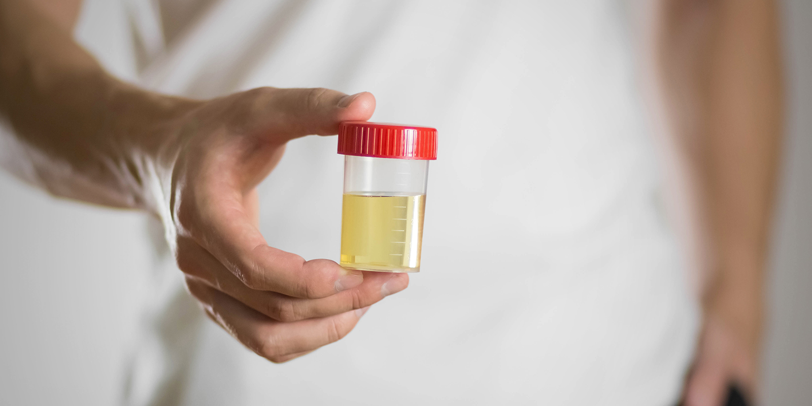 Mito 8: Sostituire il campione funziona