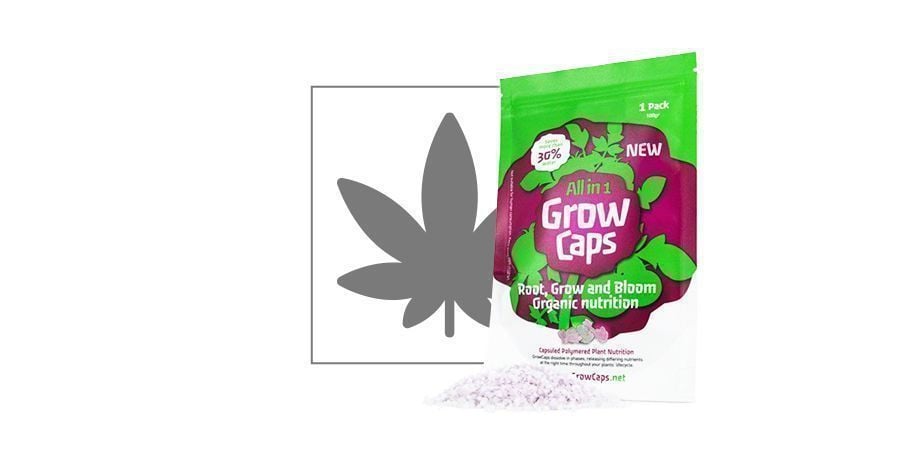 Grow Caps Fertilizzante (Tutto In Uno Cannabis)