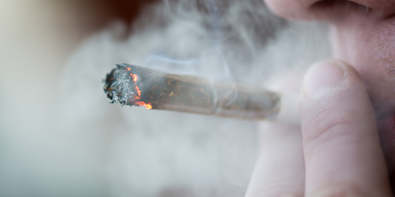 Le varietà con un rapporto THC-CBD di 1:1 fanno sballare?