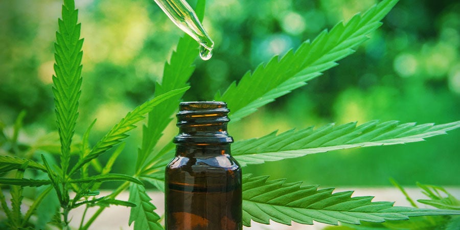 CBD Fix Auto: Una Vera Gioia Per I Coltivatori Terapeutici