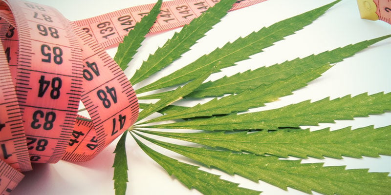 La Cannabis Può Aiutare a Far Perdere Peso?