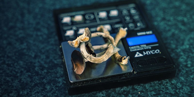 Come dosare i funghi allucinogeni in cucina