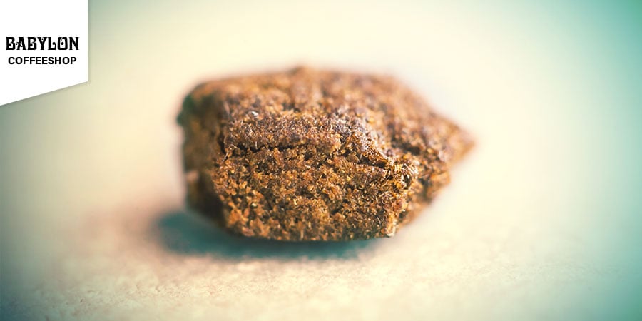 Miglior Hashish - Coffeeshop Babylon Amsterdam