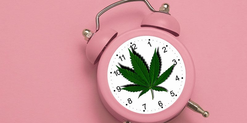 Quanto tempo rimangono i metaboliti del THC nell'organismo?