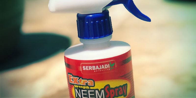 Olio Di Neem - Repellenti Per Parassiti Cannabis