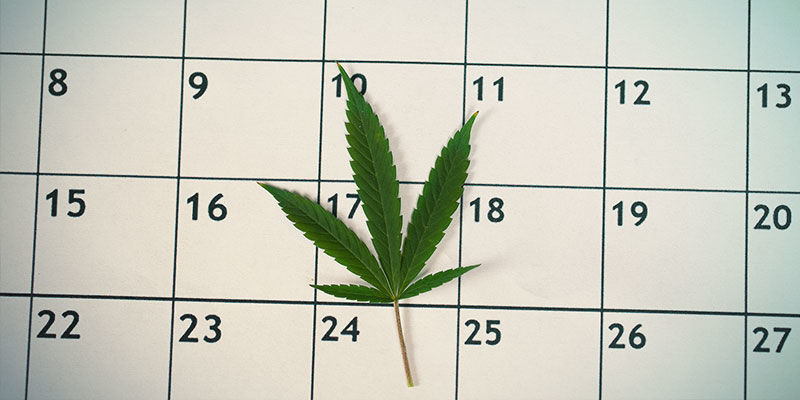 Prepararsi Al Test Antidroga