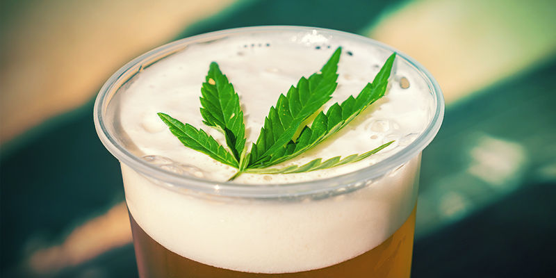 Macerare La Cannabis Con Alcol