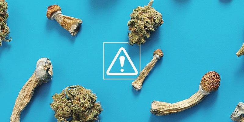Quali Sono I Rischi Di Mescolare Cannabis E Funghi Allucinogeni?