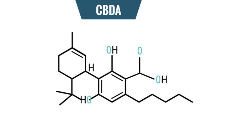 Chimica Del CBDA