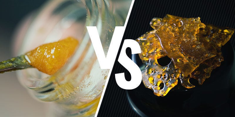 Qual È La Differenza Tra Il Live Resin E Gli Altri Concentrati?