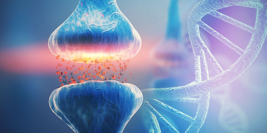 DNA E SISTEMA ENDOCANNABINOIDE