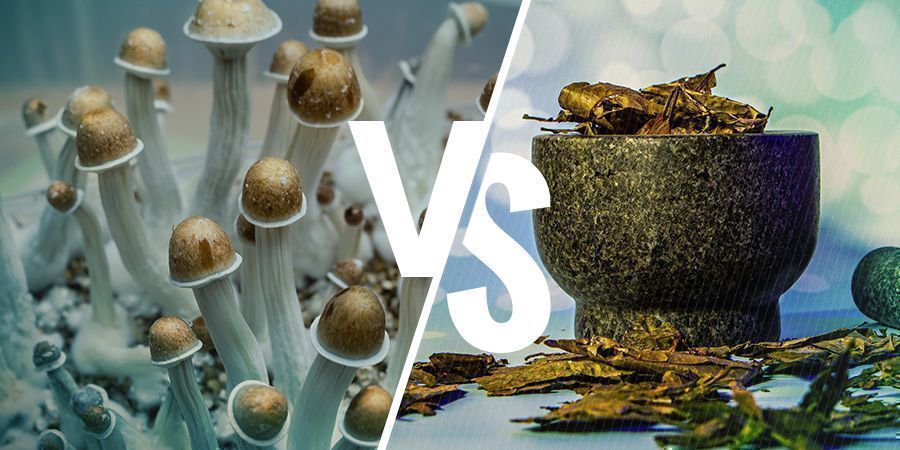 Psilocibina Vs. Dmt: Somiglianze E Differenze