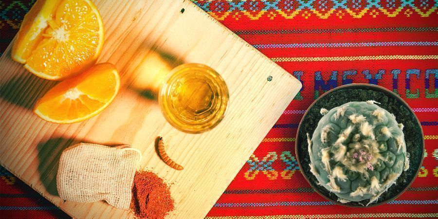 Mezcal E Mescalina Sono Collegati