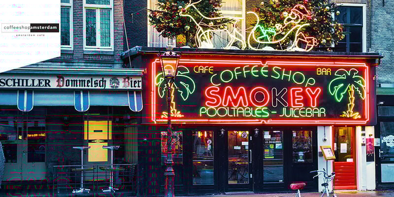Coffeeshop Amsterdam - Edibili Alla Cannabis