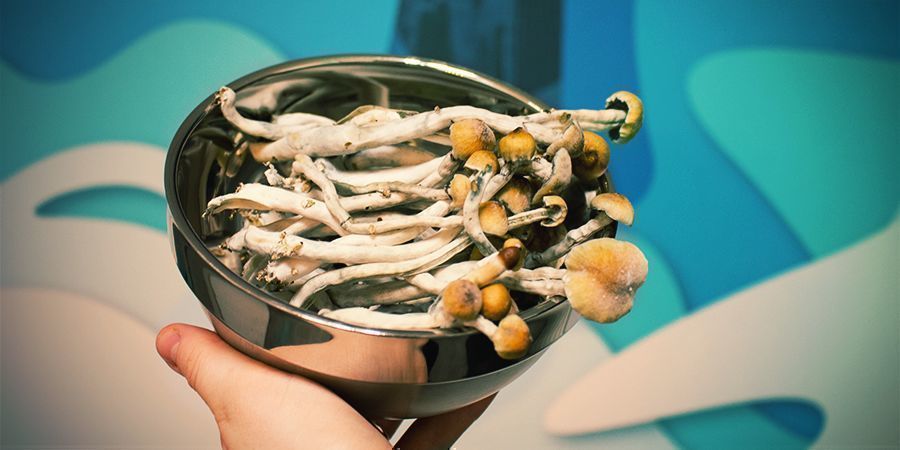 COLTIVARE FUNGHI ALLUCINOGENI CON UN KIT DI COLTIVAZIONE