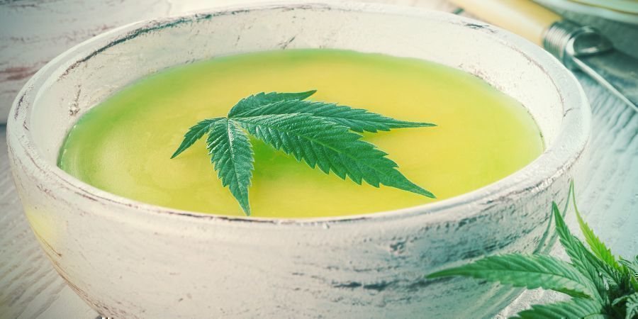 PARTITE ALLA GRANDE CON IL BURRO ALLA CANNABIS