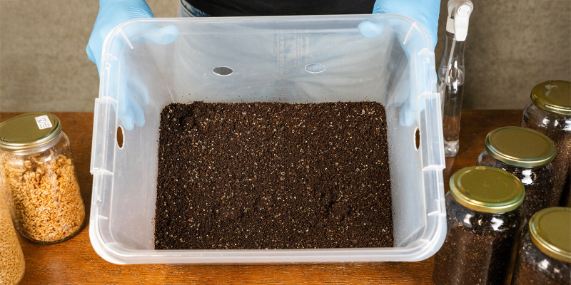 Qual è la dimensione ideale per un monotub?
