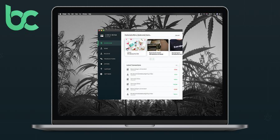BitCanna Punta A Cambiare Il Settore