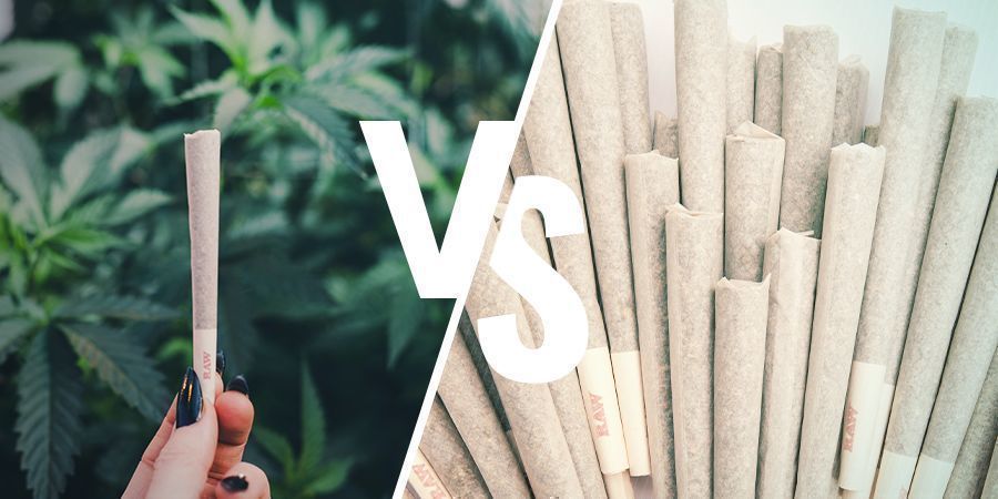 ABUSO VS DIPENDENZA DALLA CANNABIS