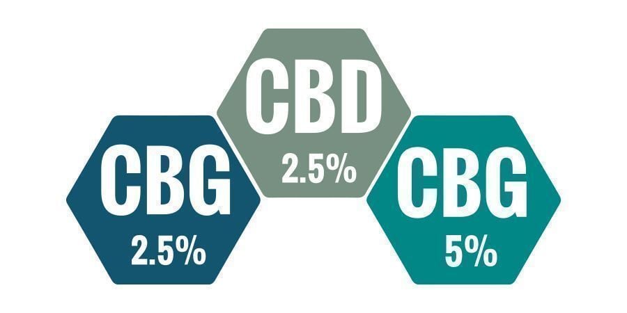 Quale Percentuale Di Olio CBG È La Migliore?