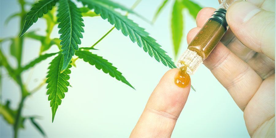 I Vantaggi Offerti dalle Radici di Cannabis