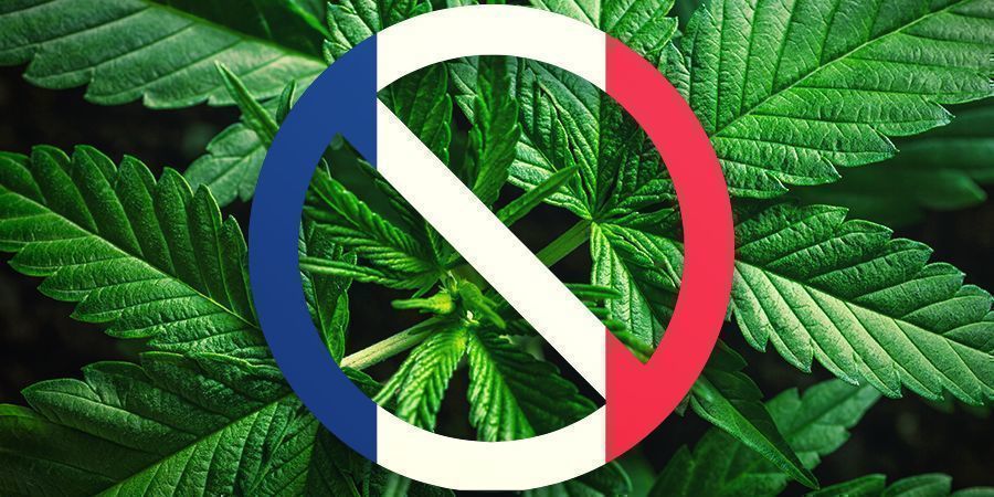La Storia del Rapporto della Francia Verso la Cannabis