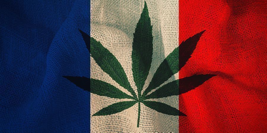 Francia e la Cannabis: Il Piano del Comitato