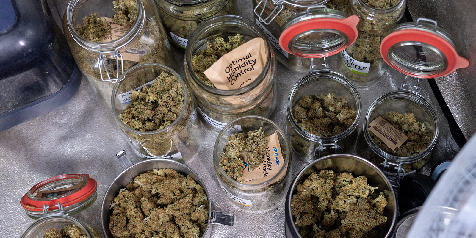 Coltiva con intelligenza, raccogli in grande Coltiva con intelligenza, raccogli in grande