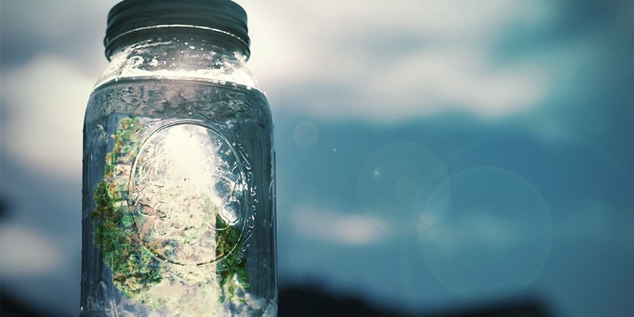 Sale Alla Cannabis: Guida Passo-Passo per la Preparazione