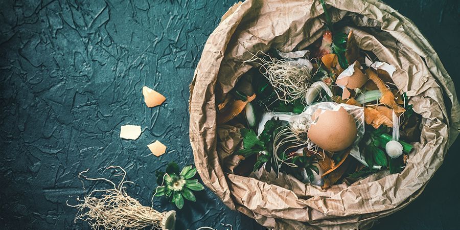 USARE IL COMPOST FATTO IN CASA